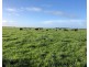 299 St. Helens Road, Yambuk VIC 3285