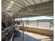 299 St. Helens Road, Yambuk VIC 3285