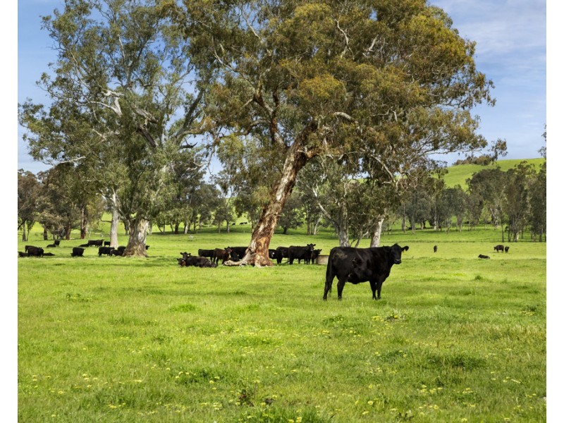 5620 Melba Highway, Yea VIC 3717