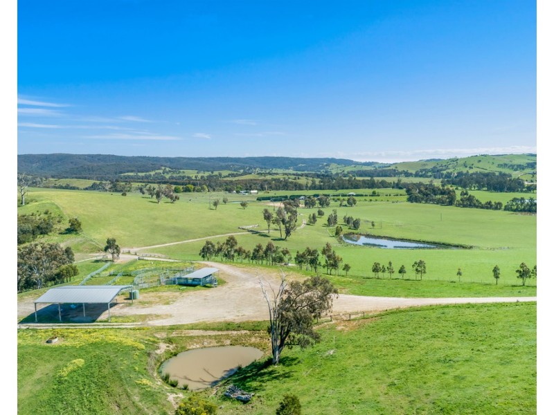 481 BREAK ODAY ROAD, Glenburn VIC 3717