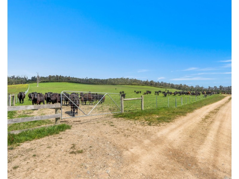 481 BREAK ODAY ROAD, Glenburn VIC 3717