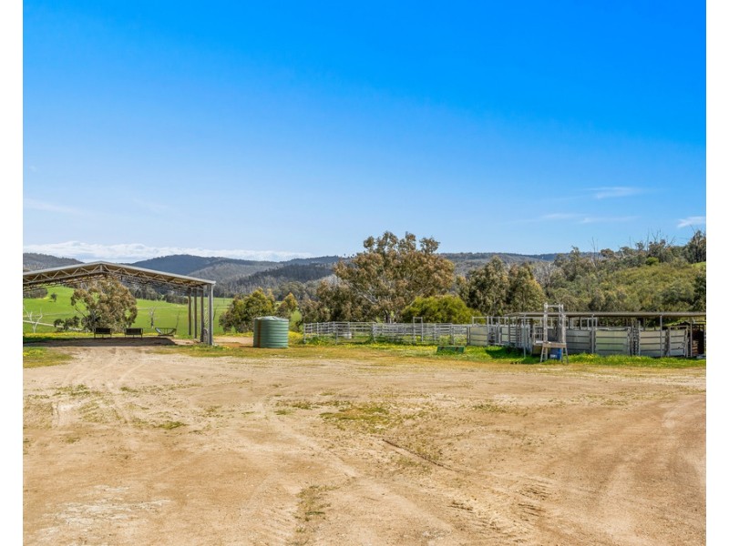 481 BREAK ODAY ROAD, Glenburn VIC 3717