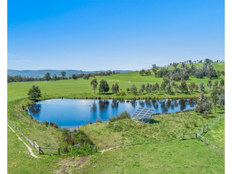 481 BREAK ODAY ROAD, Glenburn VIC 3717