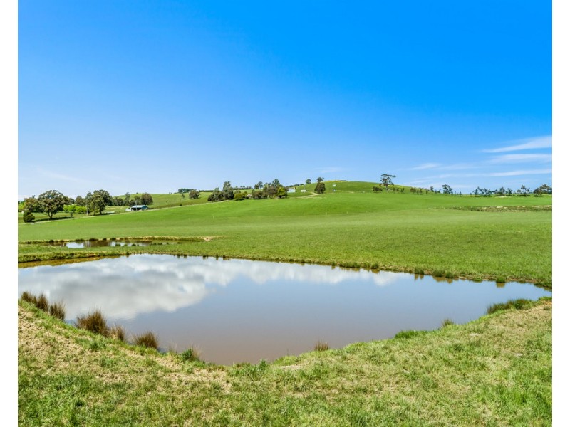 481 BREAK ODAY ROAD, Glenburn VIC 3717