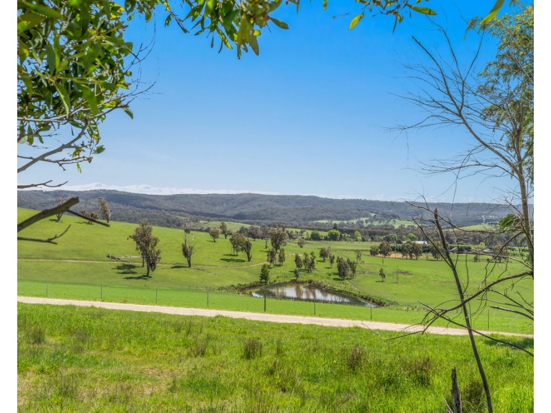 481 BREAK ODAY ROAD, Glenburn VIC 3717
