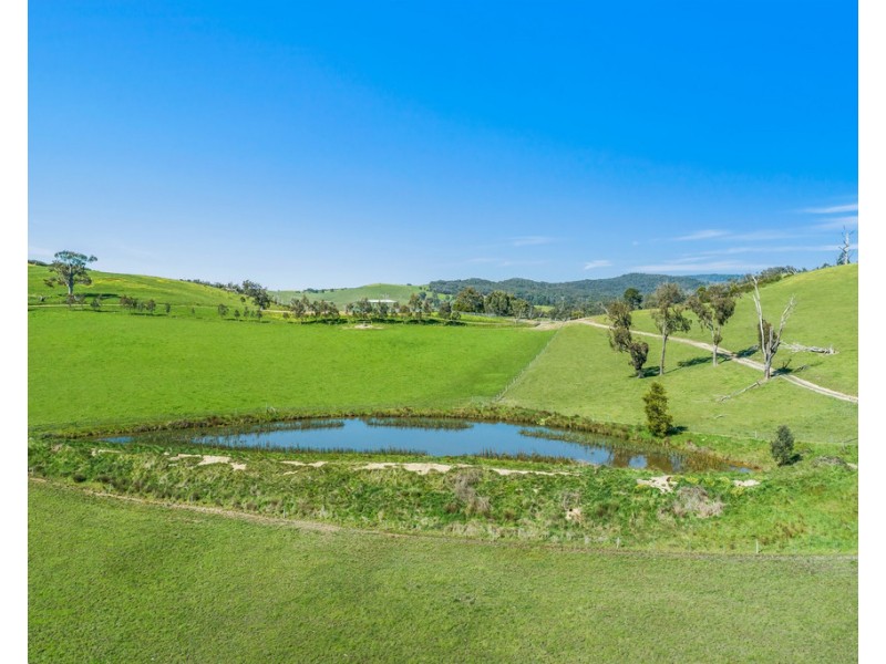481 BREAK ODAY ROAD, Glenburn VIC 3717