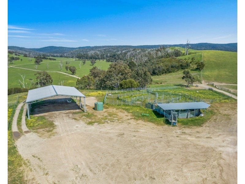 481 BREAK ODAY ROAD, Glenburn VIC 3717
