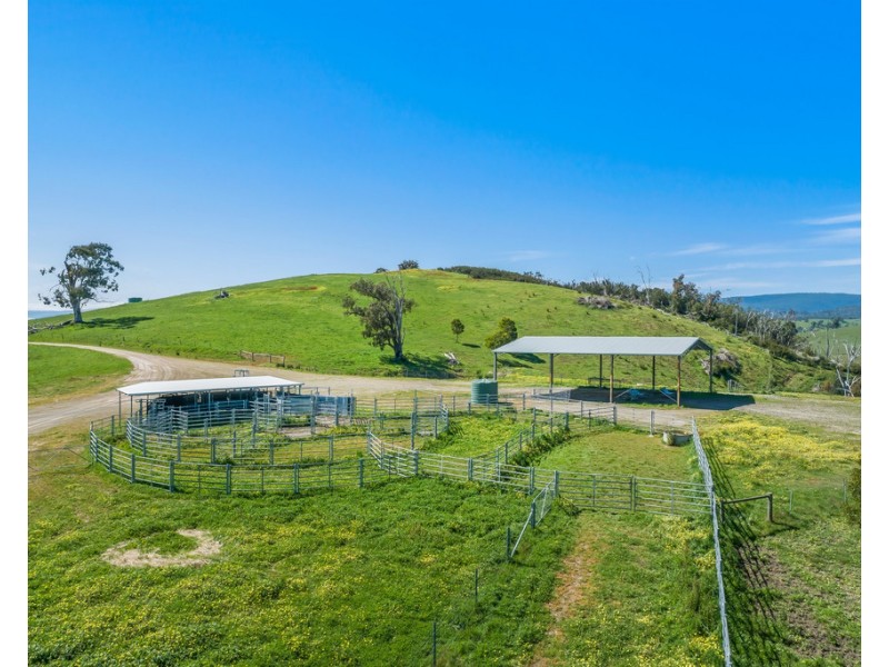 481 BREAK ODAY ROAD, Glenburn VIC 3717
