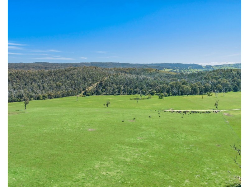 481 BREAK ODAY ROAD, Glenburn VIC 3717