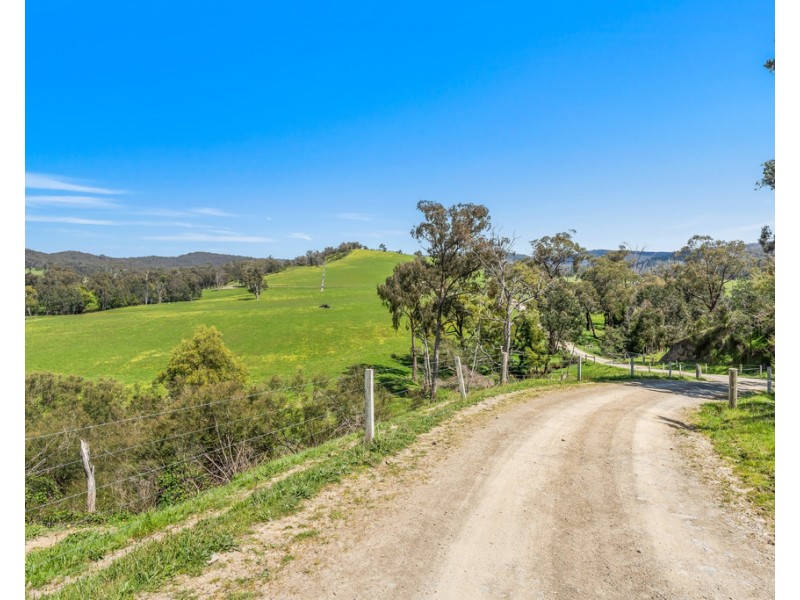 481 BREAK ODAY ROAD, Glenburn VIC 3717
