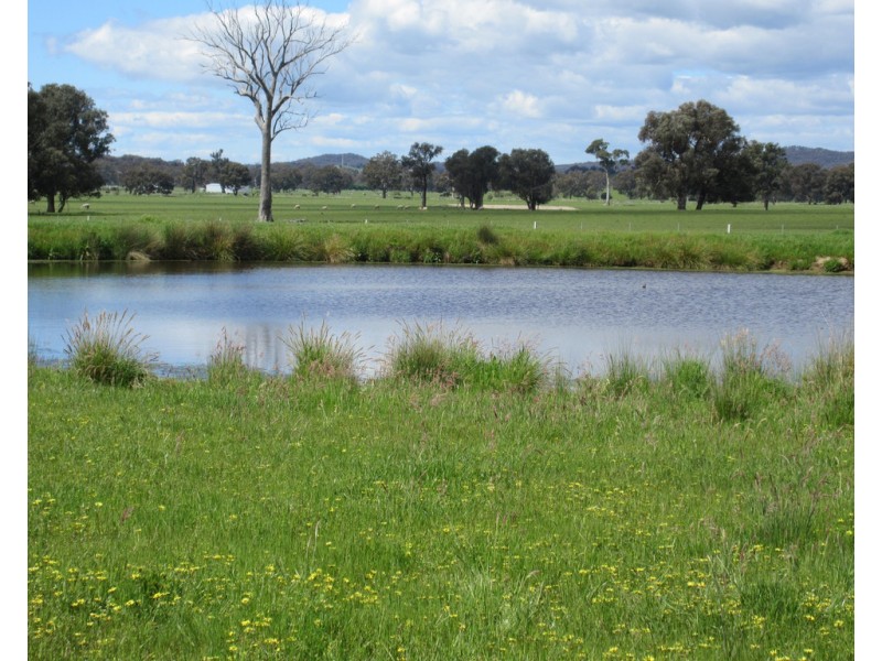 0 Molyullah-Tatong Road, Molyullah VIC 3673