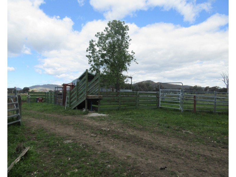 0 Molyullah-Tatong Road, Molyullah VIC 3673