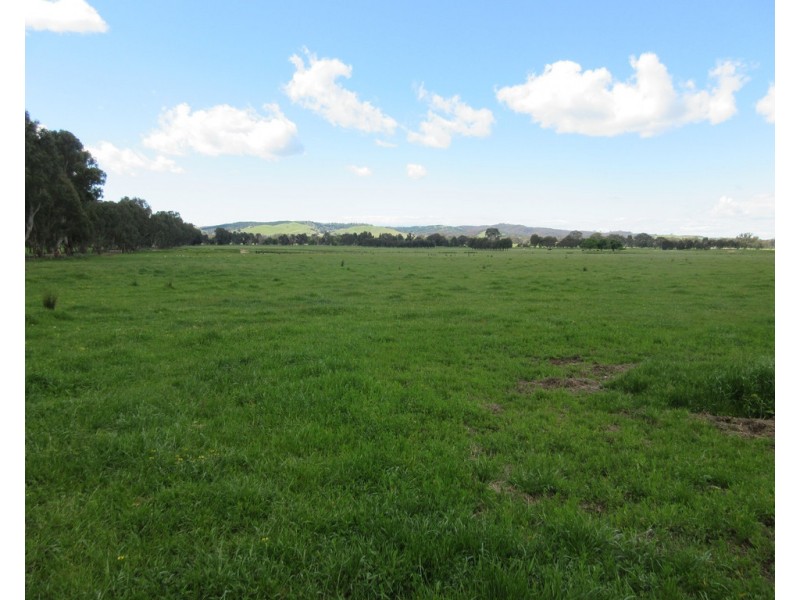 0 Molyullah-Tatong Road, Molyullah VIC 3673