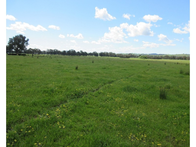 0 Molyullah-Tatong Road, Molyullah VIC 3673