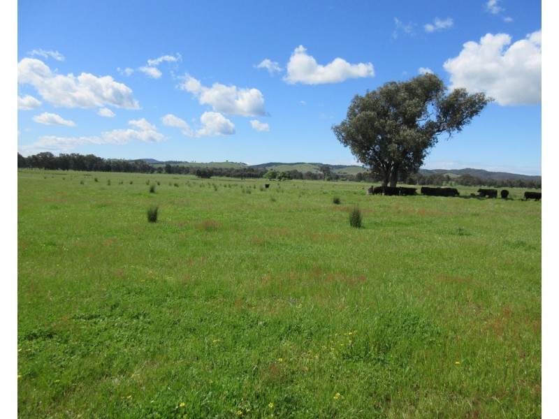 0 Molyullah-Tatong Road, Molyullah VIC 3673