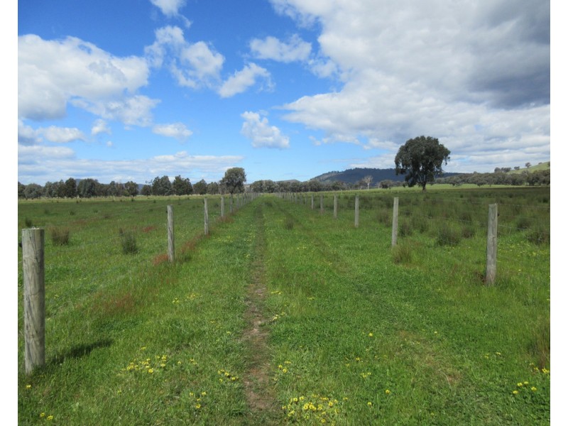 0 Molyullah-Tatong Road, Molyullah VIC 3673