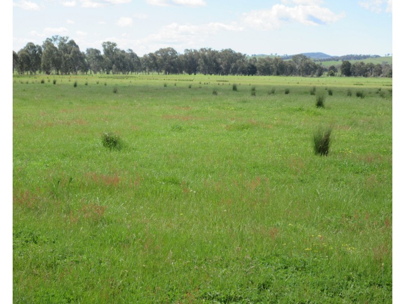 0 Molyullah-Tatong Road, Molyullah VIC 3673