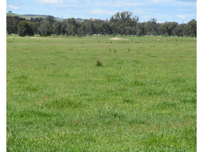 0 Molyullah-Tatong Road, Molyullah VIC 3673