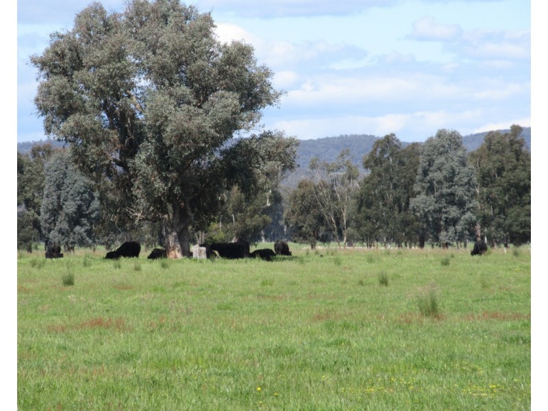 0 Molyullah-Tatong Road, Molyullah VIC 3673