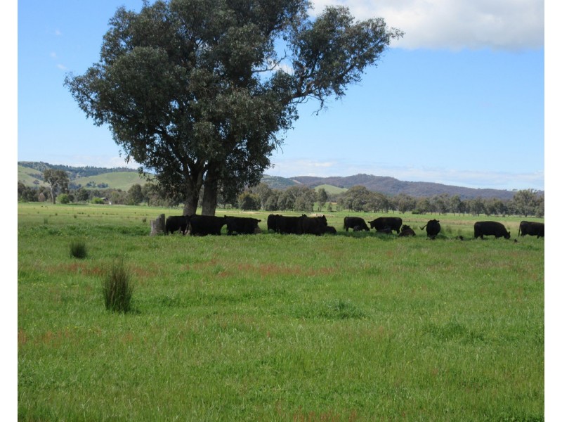 0 Molyullah-Tatong Road, Molyullah VIC 3673