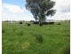 0 Molyullah-Tatong Road, Molyullah VIC 3673