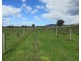 0 Molyullah-Tatong Road, Molyullah VIC 3673