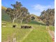 3597 GOULBURN VALLEY HIGHWAY, Cathkin VIC 3714
