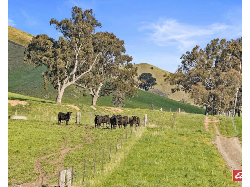 3597 GOULBURN VALLEY HIGHWAY, Cathkin VIC 3714
