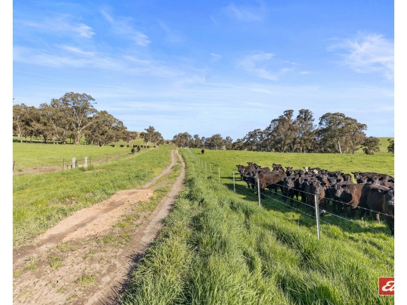 3597 GOULBURN VALLEY HIGHWAY, Cathkin VIC 3714