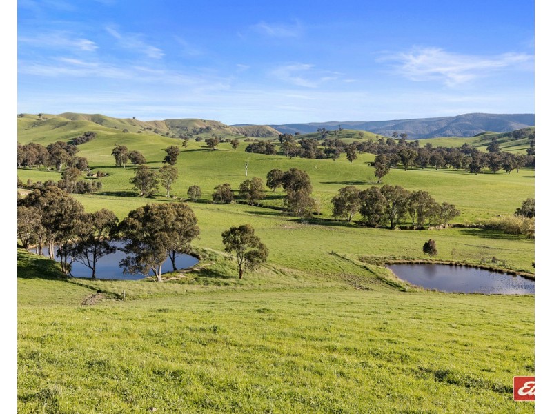 3597 GOULBURN VALLEY HIGHWAY, Cathkin VIC 3714