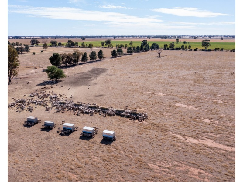 386 Butler Road, Thyra NSW 2731