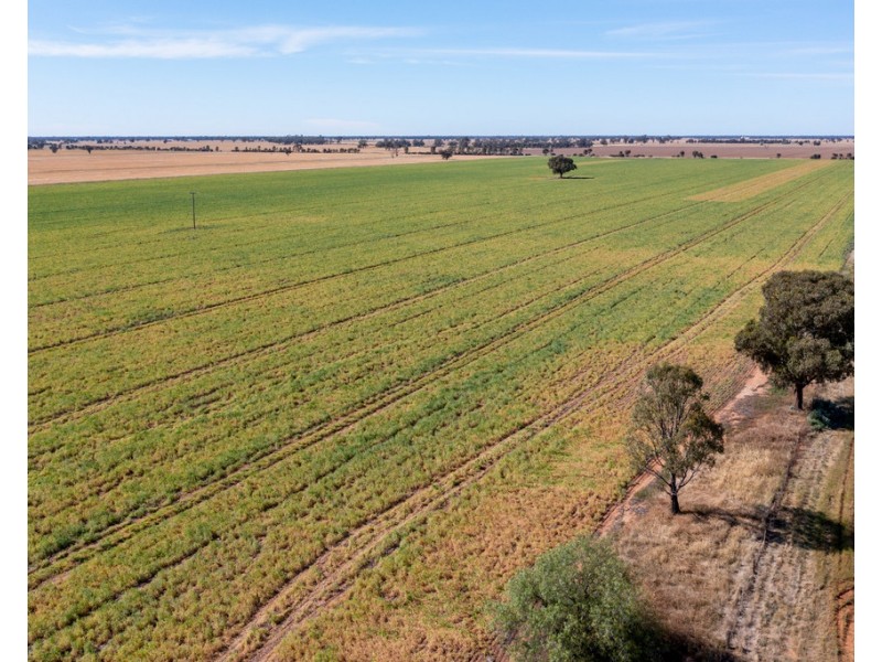 386 Butler Road, Thyra NSW 2731