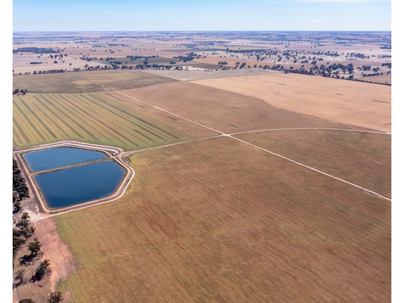 386 Butler Road, Thyra NSW 2731