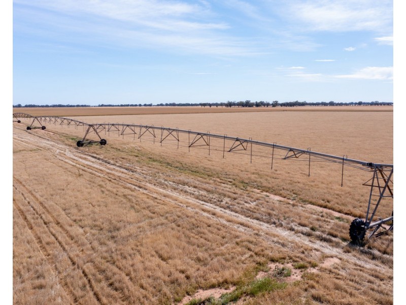 386 Butler Road, Thyra NSW 2731