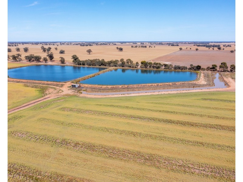 386 Butler Road, Thyra NSW 2731