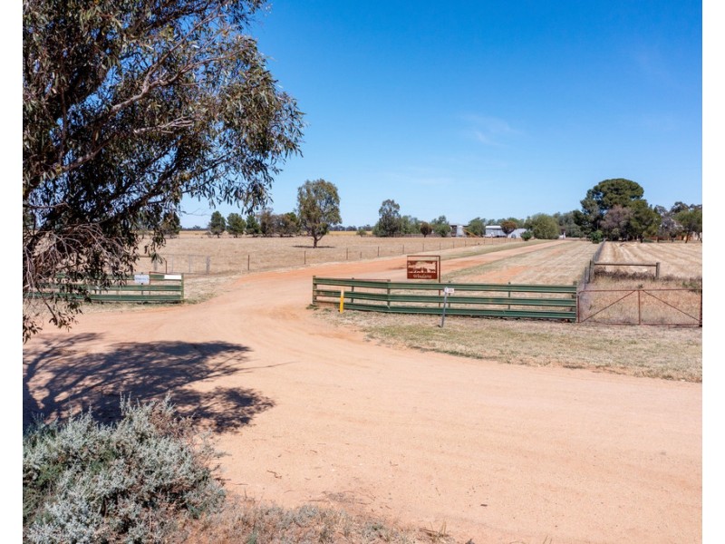 386 Butler Road, Thyra NSW 2731