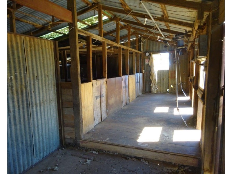 386 Butler Road, Thyra NSW 2731