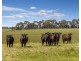 431 Carlsruhe Central Road, Carlsruhe VIC 3442