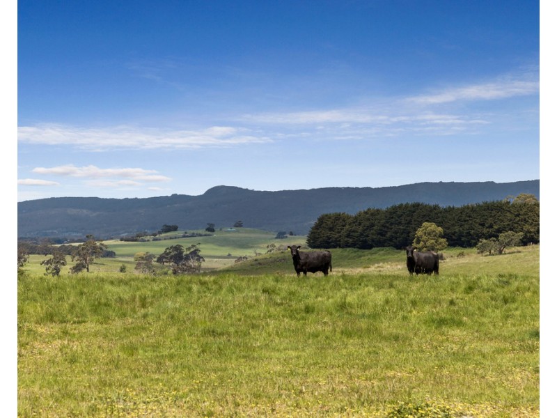 431 Carlsruhe Central Road, Carlsruhe VIC 3442