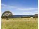 431 Carlsruhe Central Road, Carlsruhe VIC 3442