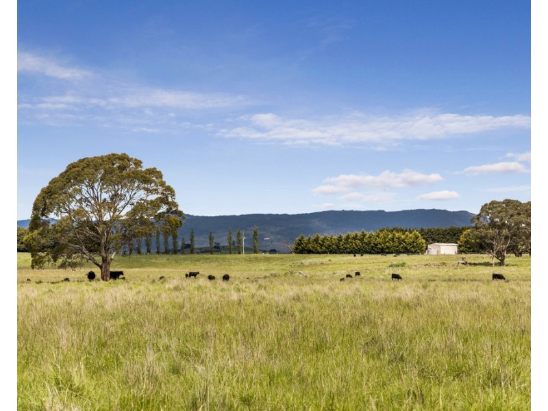 431 Carlsruhe Central Road, Carlsruhe VIC 3442