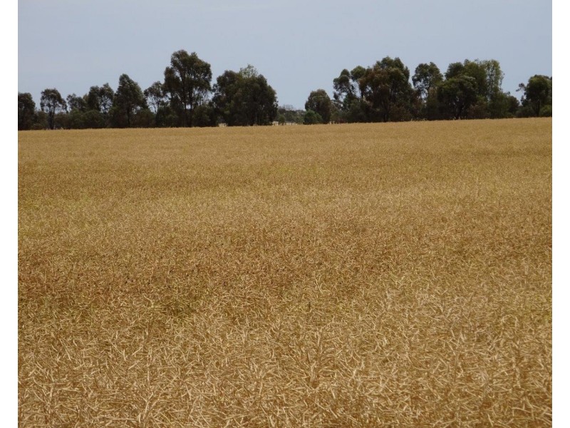 Lt 28,29,31,32 Ripper Road, Thyra NSW 2731