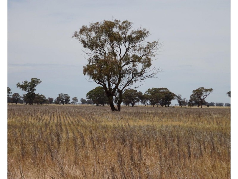 Lt 28,29,31,32 Ripper Road, Thyra NSW 2731