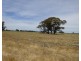 Lt 28,29,31,32 Ripper Road, Thyra NSW 2731
