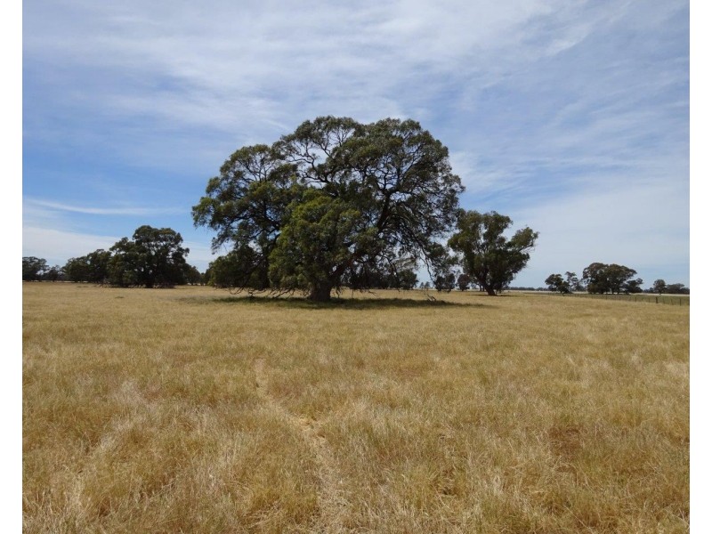 Lt 28,29,31,32 Ripper Road, Thyra NSW 2731