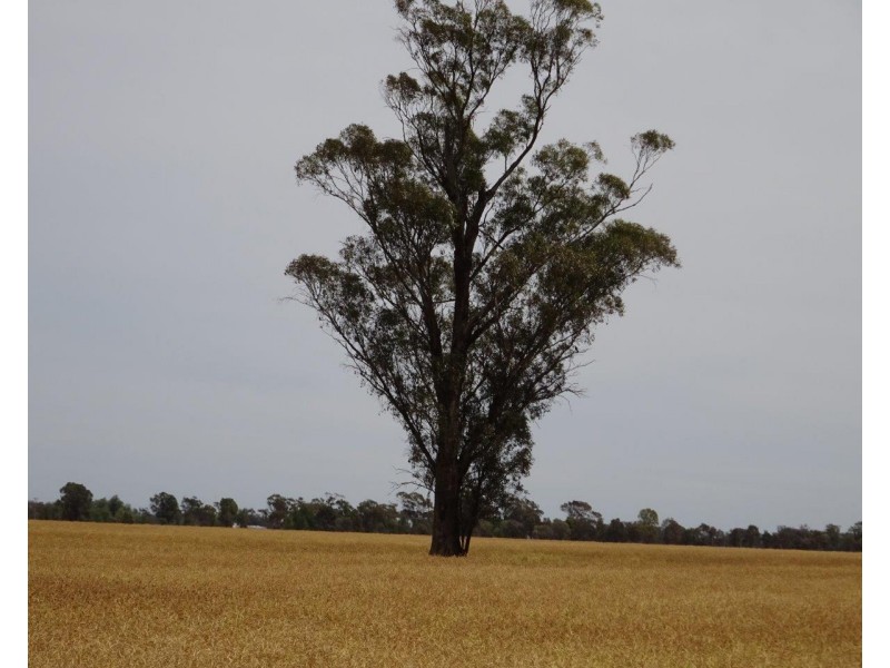 Lt 28,29,31,32 Ripper Road, Thyra NSW 2731