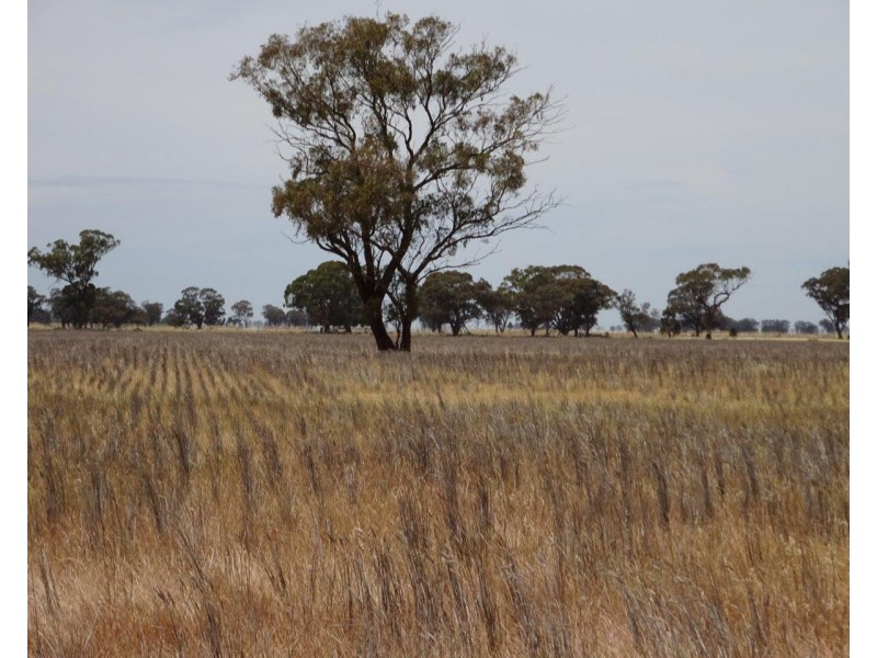 Lt 28,29,31,32 Ripper Road, Thyra NSW 2731