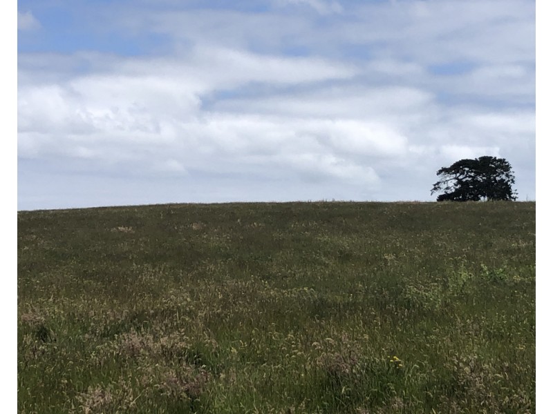 Lot 2 BEGLEYS ROAD, CUDGEE, VIA, Allansford VIC 3277