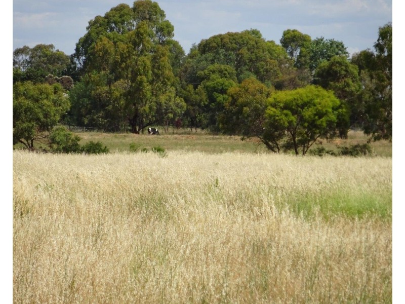 915 Castle Road, Koyuga VIC 3622