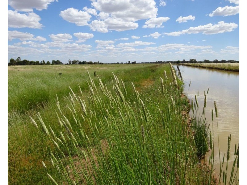 915 Castle Road, Koyuga VIC 3622